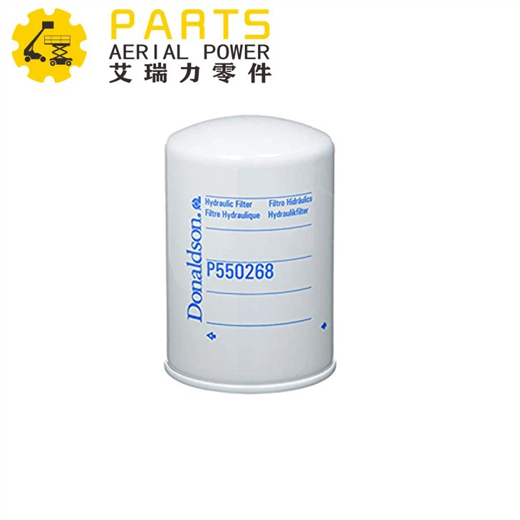 Filtro P550268